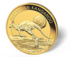 Picture of 2016 1/10 oz Australian Gold Kangaroo