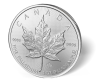 Picture of 1 oz Canadian Palladium Maple Leaf - Common Date