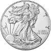 Picture of 2020 1 oz American Silver Eagle